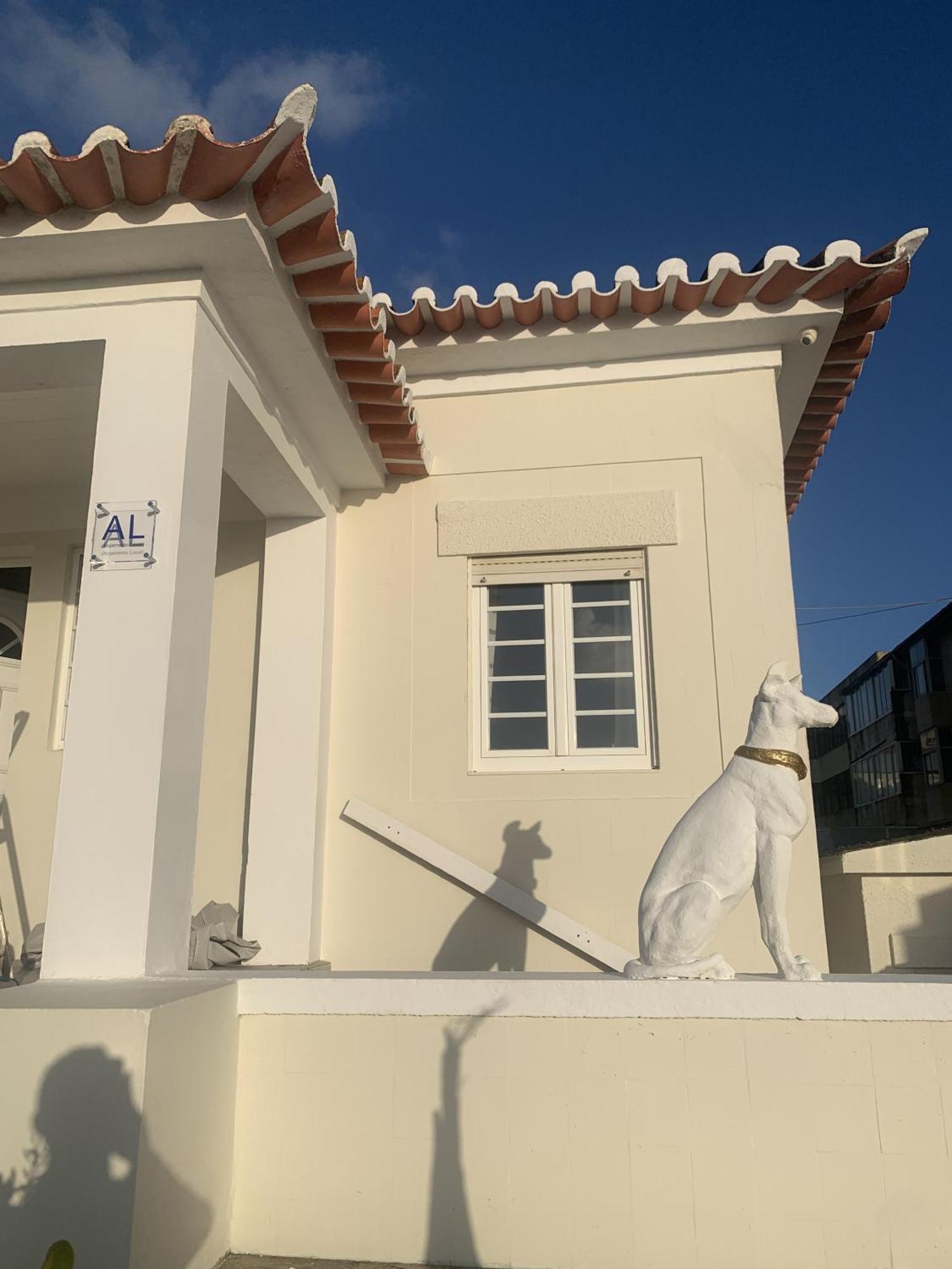Casa Do Cao Da Praia Do Furadouro 오바 외부 사진