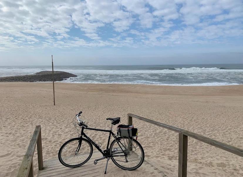 Casa Do Cao Da Praia Do Furadouro 오바 외부 사진